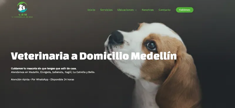 Caso de exito servicio seo medellin